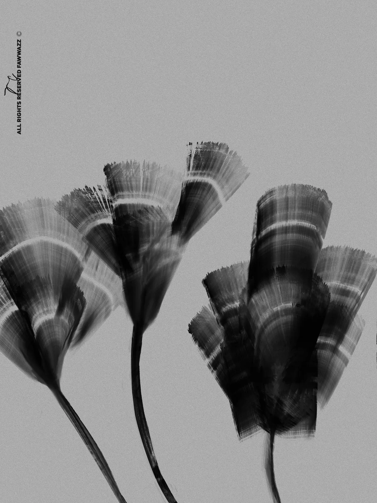 Artwork, Photography
